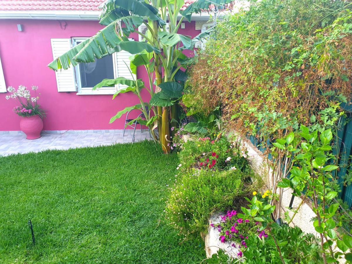 Villa Aloe House Lakíthra Esterno foto