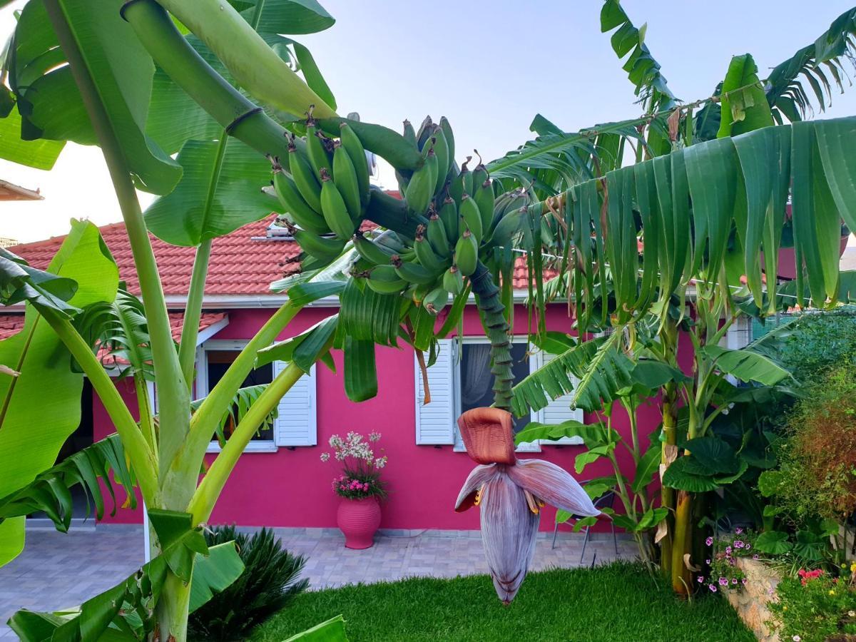 Villa Aloe House Lakíthra Esterno foto
