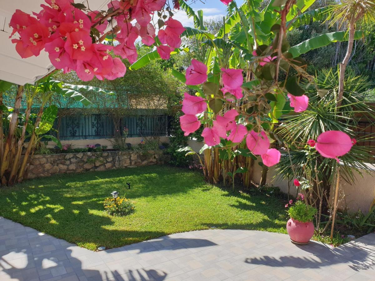 Villa Aloe House Lakíthra Esterno foto